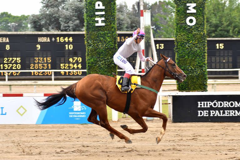 Malibú Spring, que ganó todas sus carreras de 2022, fue elegido el Caballo del Año y su jinete, Gonzalo Borda, el mejor aprendiz de la temporada.