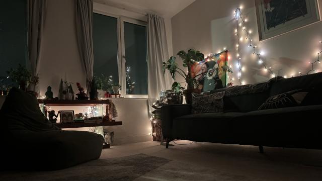 Festavia string lights, Philips Hue