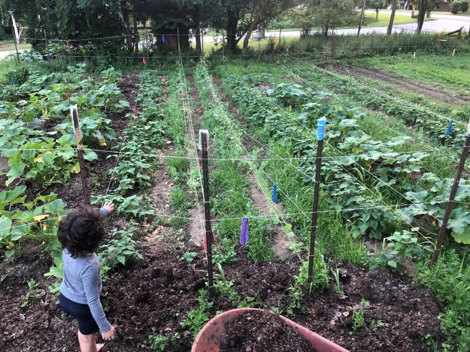 The Community Ecology Institute's climate victory garden in Columbia, Maryland. (Photo: HuffPost)