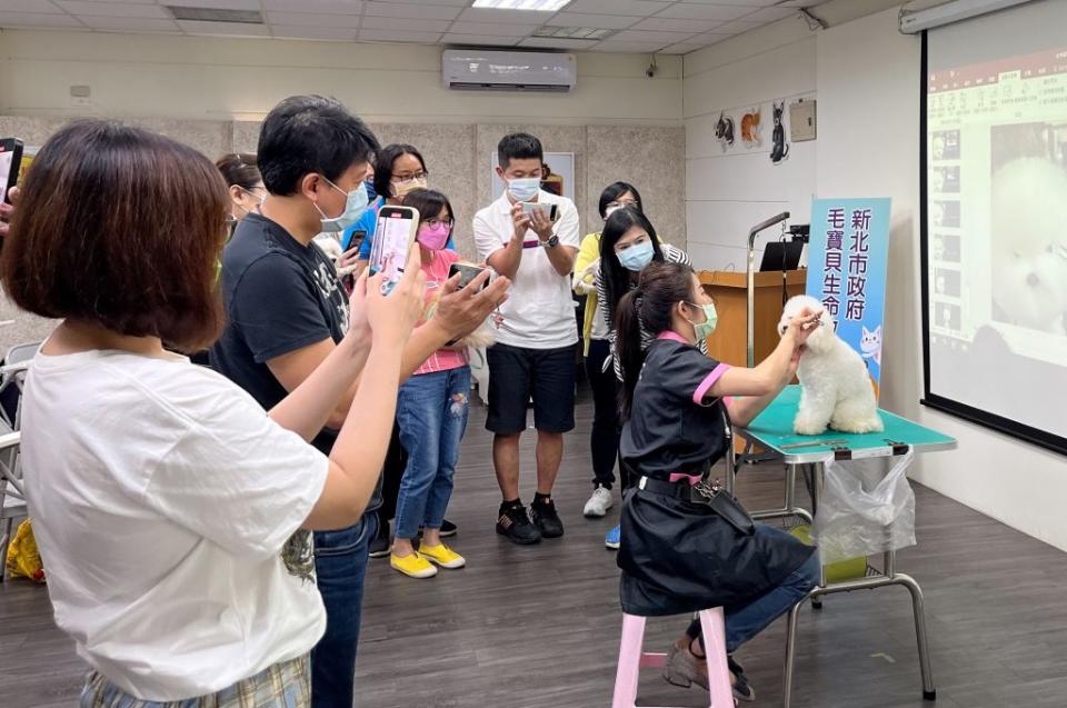 新北市府動保處毛寶貝生命教育園區每月開辦飼養寵物相關課程，六月寵物美容現場ppt教學及示範說明。　（記者吳瀛洲攝）