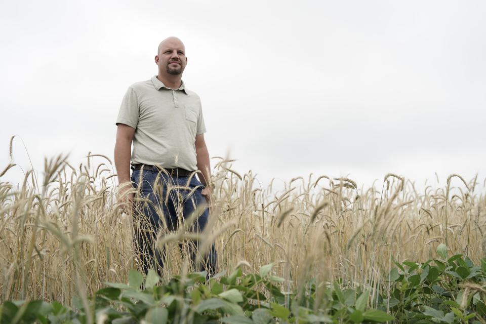 El agricultor Brad Wetli posa para un retrato el jueves 13 de julio de 2023 en su granja de Fowler, Indiana. Wetli utiliza el centeno como cultivo de cobertura para la soja, lo que ayuda a mantener la salud de la tierra y restaura el dióxido de carbono entre temporadas. También utiliza semillas de su cosecha para plantar nuevos cultivos de cobertura, lo que reduce sus gastos totales. (AP Foto/Joshua A. Bickel)