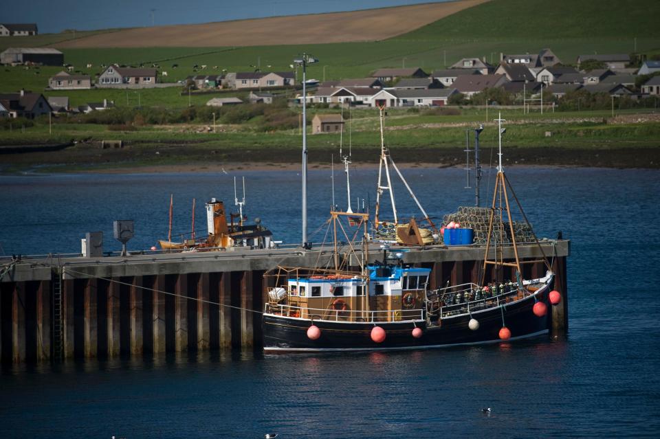 Ship in harbour, Orkney Islands, Scotland, United Kingdom