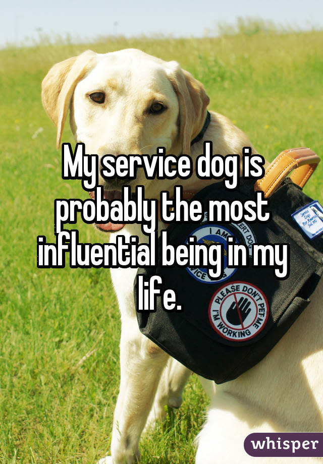 My service dog is probably the most influential being in my life. 