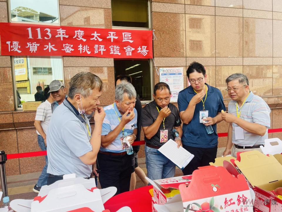 ▲「113年度台中市太平區優質水蜜桃果品評鑑活動」，評審就果品外觀、質地風味及糖度等項目進行評分。(圖/記者顏淑娟攝)