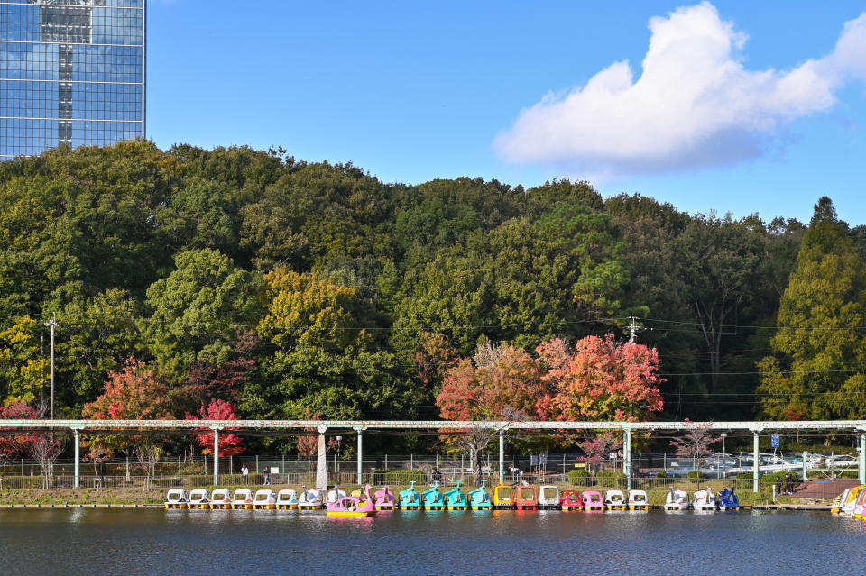 Higashiyama Zoo and Botanical Gardens, Nagoya, Japan. (Photo: Getty)