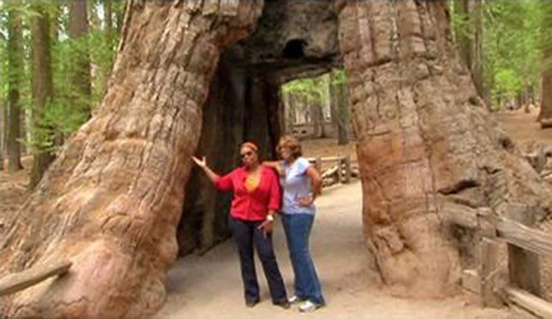 <p>Back in 2010, Oprah devoted two episodes of <i>The Oprah Winfrey Show</i> to her visit to Yosemite National Park. The episodes showed the iconic talk show host enjoying activities such as fly-fishing and a mule ride. She also <a rel="nofollow noopener" href="https://www.nationalparkstraveler.org/2010/10/oprah-visits-yosemite-national-park7130" target="_blank" data-ylk="slk:wanted to shed light on why;elm:context_link;itc:0;sec:content-canvas" class="link ">wanted to shed light on why</a> there aren’t more visitors of color in national parks. (Photo: Oprah.com) </p>