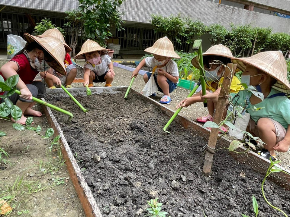 小小農夫一起耕地。(由光武非營利幼兒園提供)