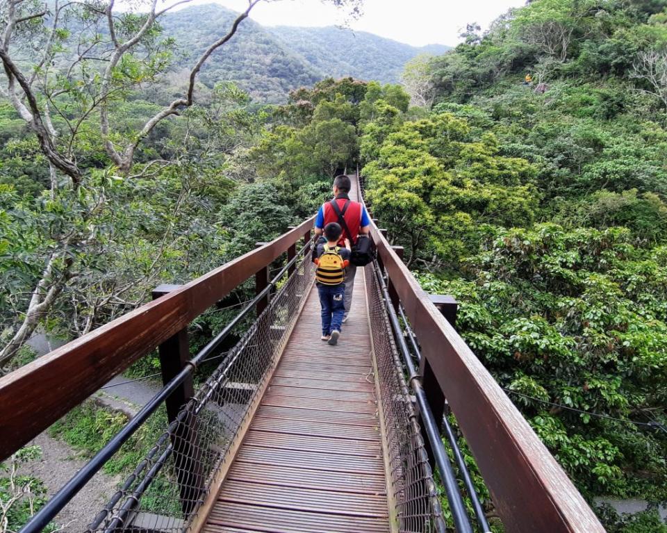 登上沿山吊橋，可觀察平時看不到的樹冠層結構。