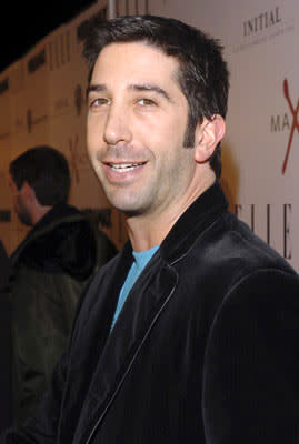 David Schwimmer at the Hollywood premiere of Miramax Films' The Aviator