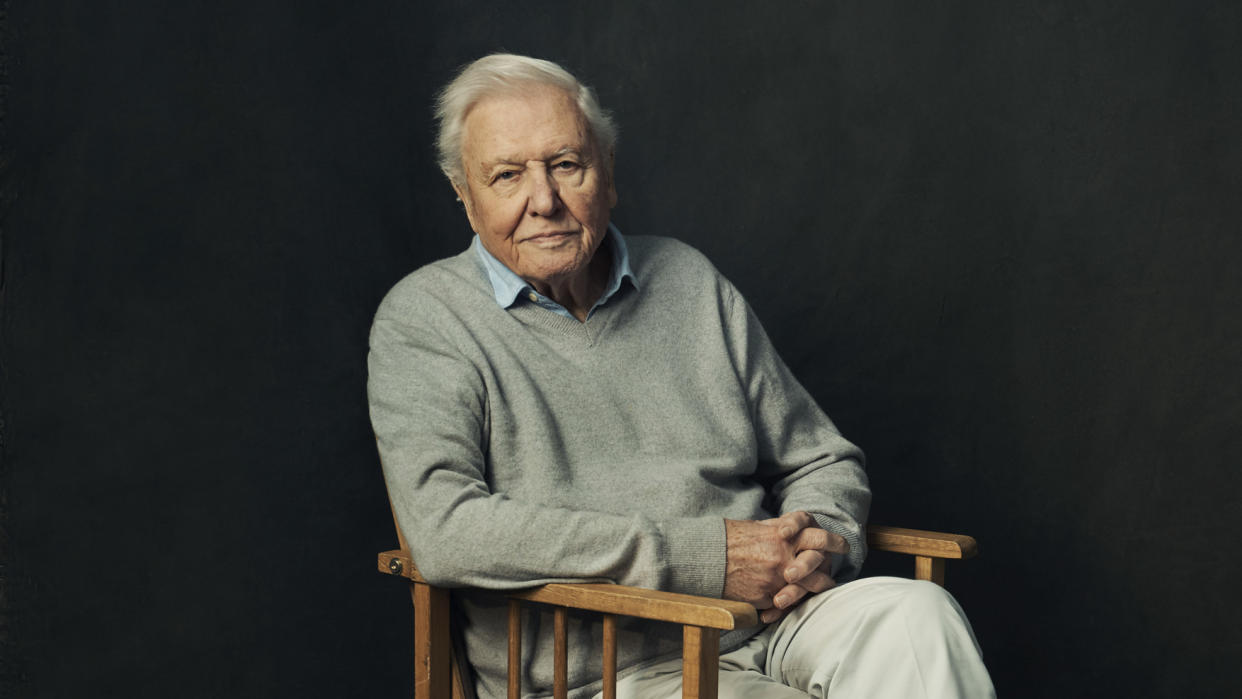 Mammals,Early Release,Sir David Attenborough,BBC Studios,Alex Board