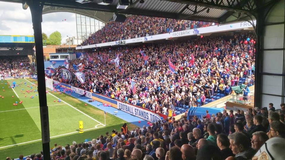 Palace fans were in party mood on Saturday (Jim Daly)