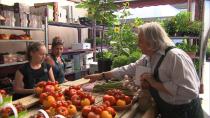 Conflict over parking spots at Jean-Talon Market gets political