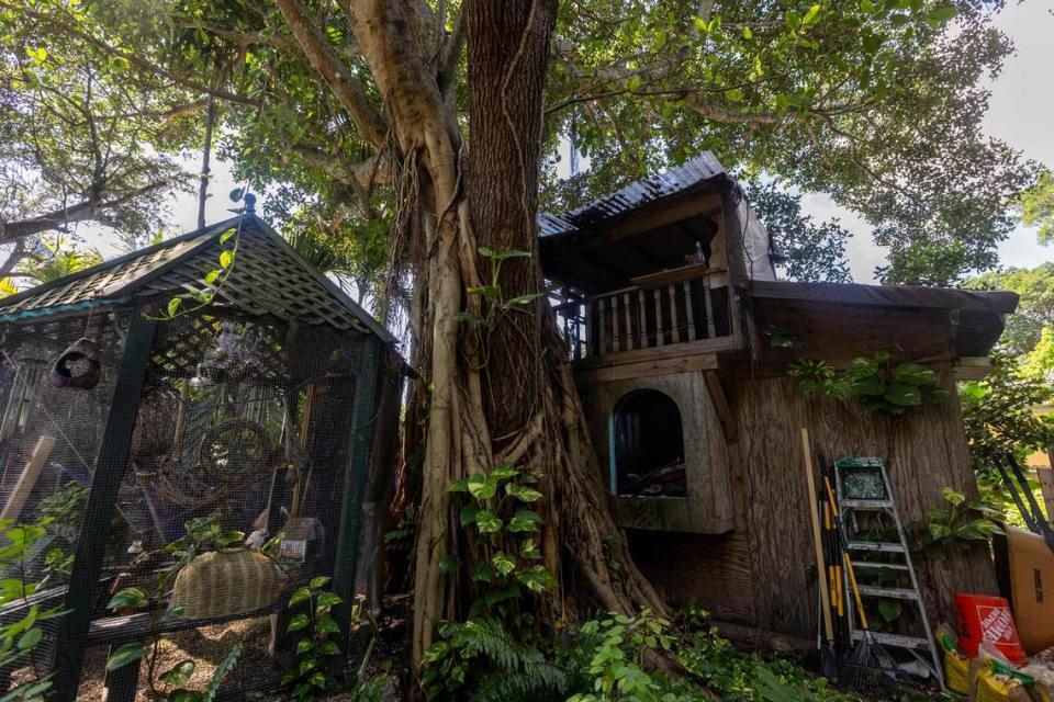 Shawnee Chasser’s, treehouse, right, next to a bird cage, left, in unincorporated Miami-Dade near North Miami on Friday, Sept. 8, 2023. She uses the living area downstairs and sleeps in another room built at ground level. She can no longer go up and down the very steep stairs to get to the bedroom. The treehouse and many of the other structures she has built on the property are due to be torn down soon.