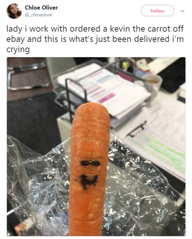 <p>Negli Usa qualche anno fa è andato in onda uno spot con Kevin, una simpatica carota che sponsorizzava uan catena di discount. Chi l’ha comprato su eBay però non si aspettava certo di ricevere una “vera” carota. (Facebook) </p>