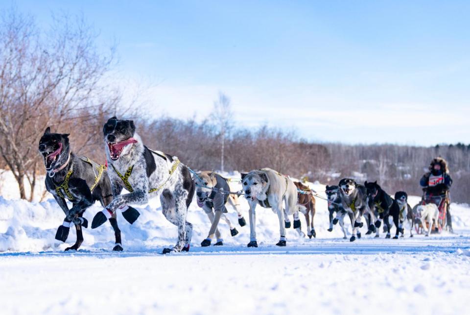 PHOTO: Mary Manning's sled dog team takes off from the start line of the John Beargrease Sled Dog Marathon, Jan. 29, 2023, outside Billy's Bar in Duluth, Minn.  (Alex Kormann/Star Tribune via Getty Images)