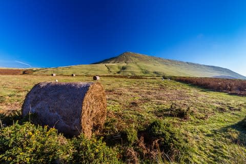 Autumn is truly experienced in the Black Mountain - Credit: Getty