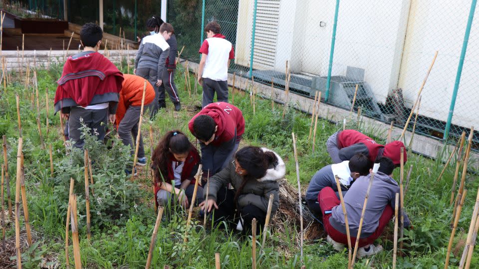 Students at Zahrat El-Ihsan School in Beirut, Lebanon, learning about their school's green spaces.  - Zahrat El-Ihsan School