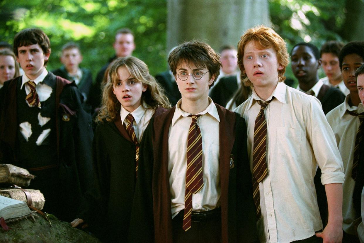 Family history: Daniel Radcliffe as Harry Potter with Emma Watson as Hermione Granger and Rupert Grint as Ron Weasley: Warner Bros