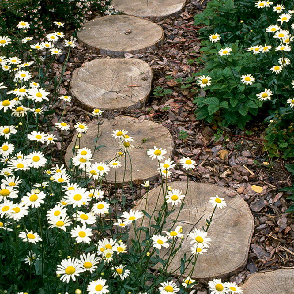 Lay a DIY path