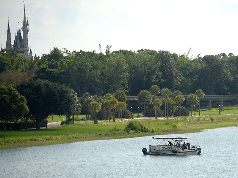 Disney Closes Beaches as Rescue Teams Search for 2-Year-Old Boy Who Was Dragged Into Lagoon by Alligator| Animals & Pets, Around the Web, Real People Stories
