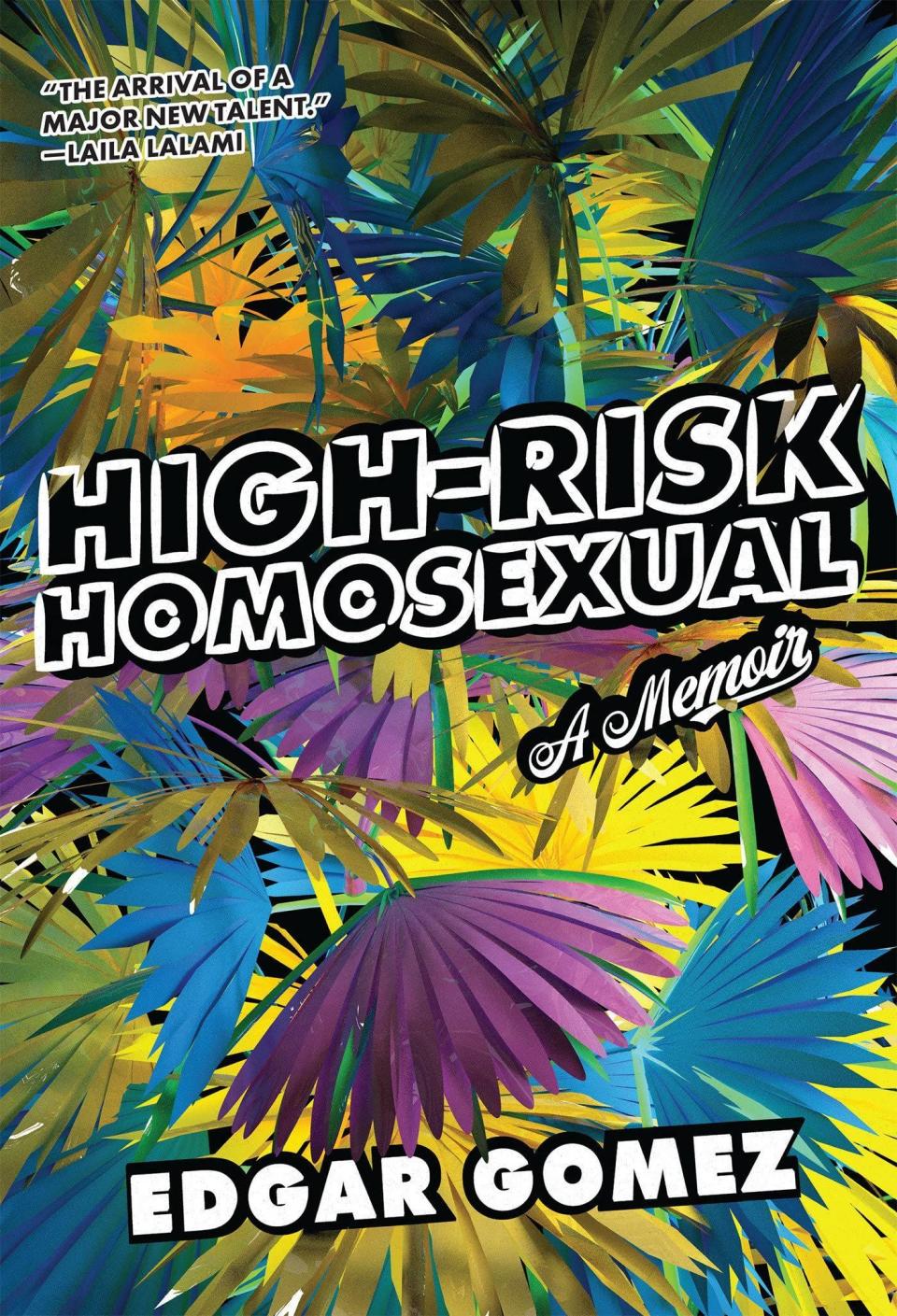 18) <i>High-Risk Homosexual</i>, by Edgar Gomez