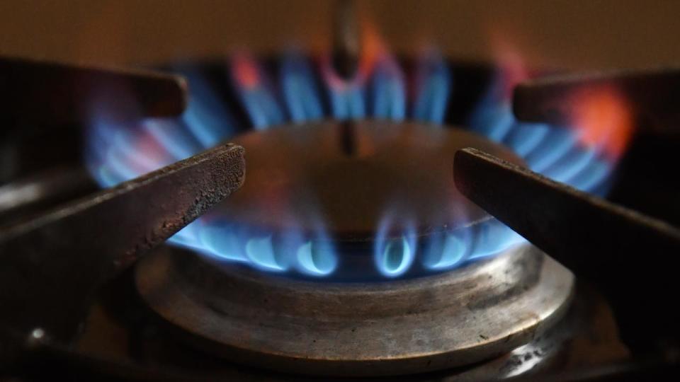 A gas burner on a bench top cooker (file image)