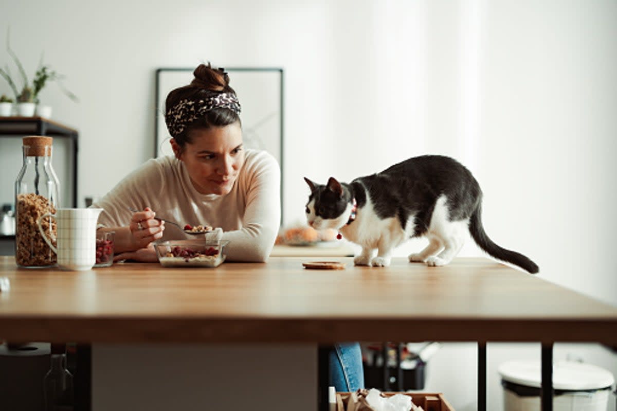 Woman upset over not being invited to dinner party because of her stance on pet cats (Getty Images)