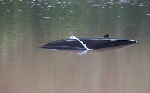 The roof of a submerged car on the A555 near Handforth, Cheshire - Credit: Danny Lawson/PA