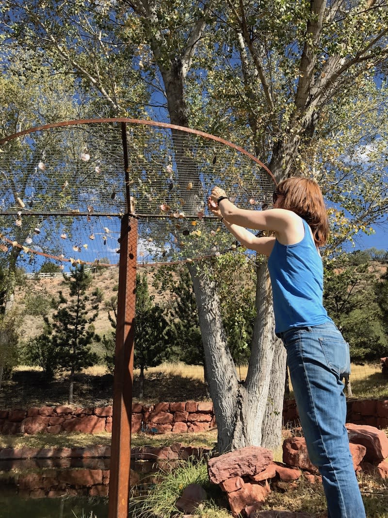 The author hanging copper tags from the care farm’s memorial tree. (Photo: Joanne Cacciatore)