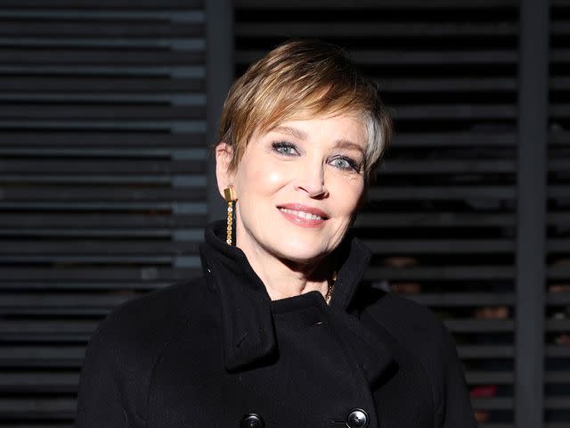 <p>Getty Images</p> Sharon Stone