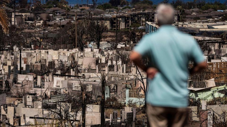 PHOTO: A man views the aftermath of a wildfire in Lahaina, Hawaii, Aug. 19, 2023. (Jae C. Hong/AP)
