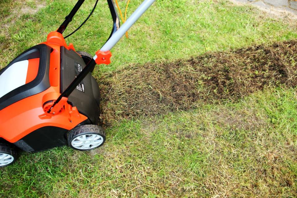 Electric aerator making a path on a grassy lawn.