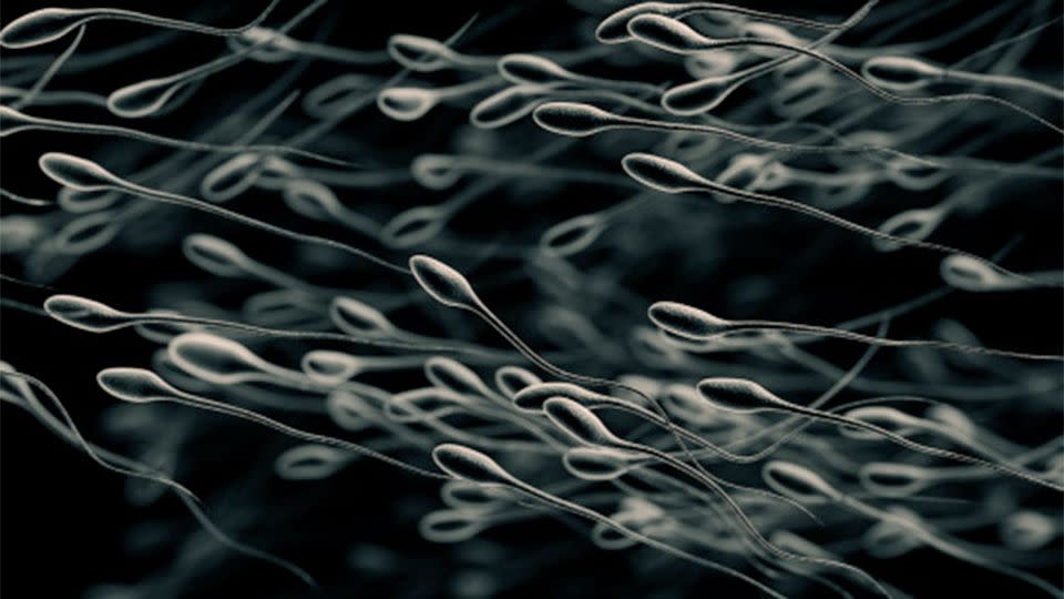 Britain's national sperm bank was set up only a year ago after the country experienced a shortage in donors and banks. Photo: Getty Images