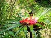 Gita Persada Butterfly Park: The park is home to more than 150 species of plants and flowers as well as 180 species of butterfly originating in Indonesia.