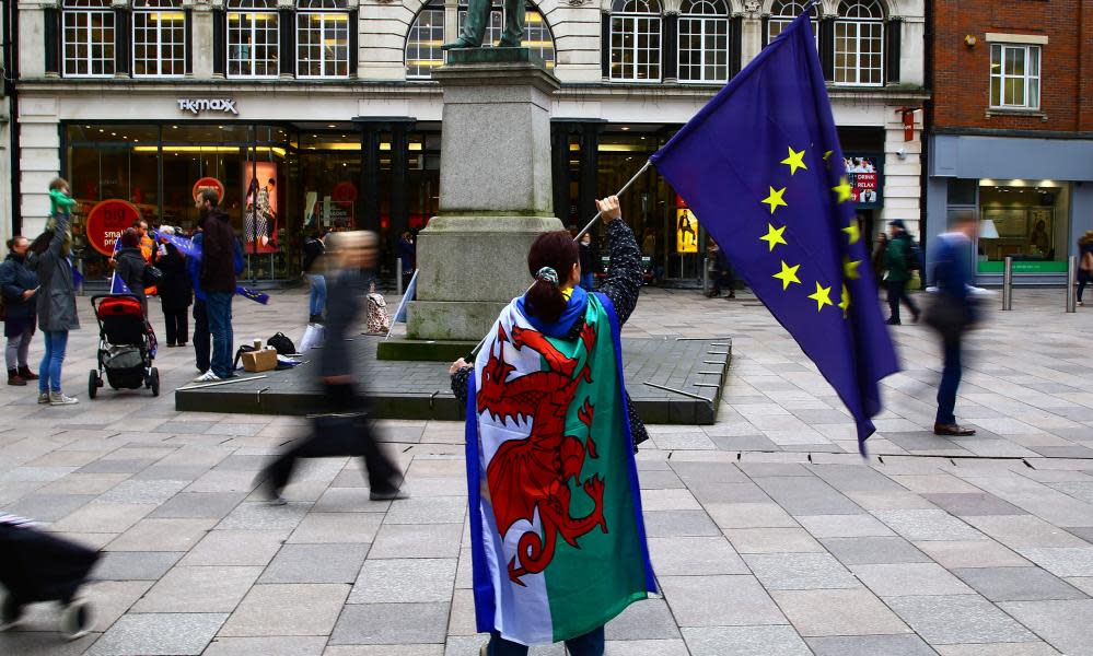 On the morning of article 50 being triggered, a defiant pro-EU protester demonstrates in Cardiff