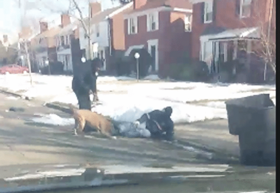 The dog locked onto the mail carrier’s ankle as he lay in the ground. Facebook/ Oneil Colley