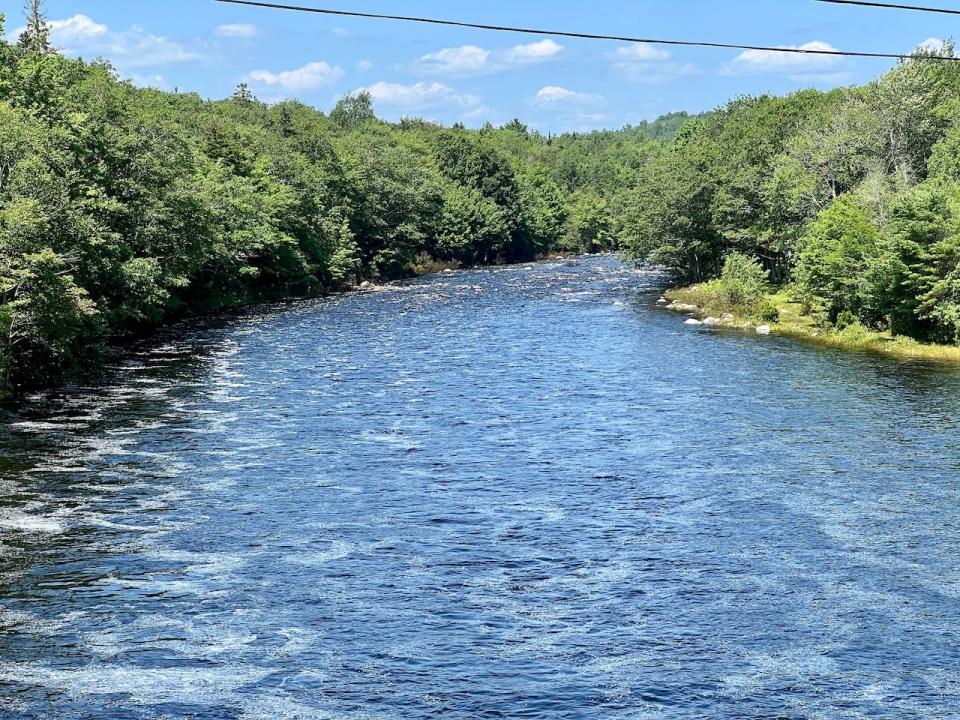 A man went missing while tubing on Gold River in Lunenburg County on Monday. (Paul Palmeter/CBC - image credit)