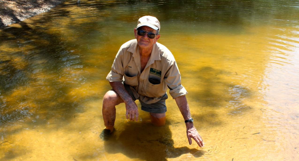 Bob Irwin in a pool of water.