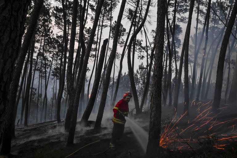 Un bombero trabaja en un incendio en Casais do Vento. en Alvaiazere. (Photo by PATRICIA DE MELO MOREIRA / AFP)