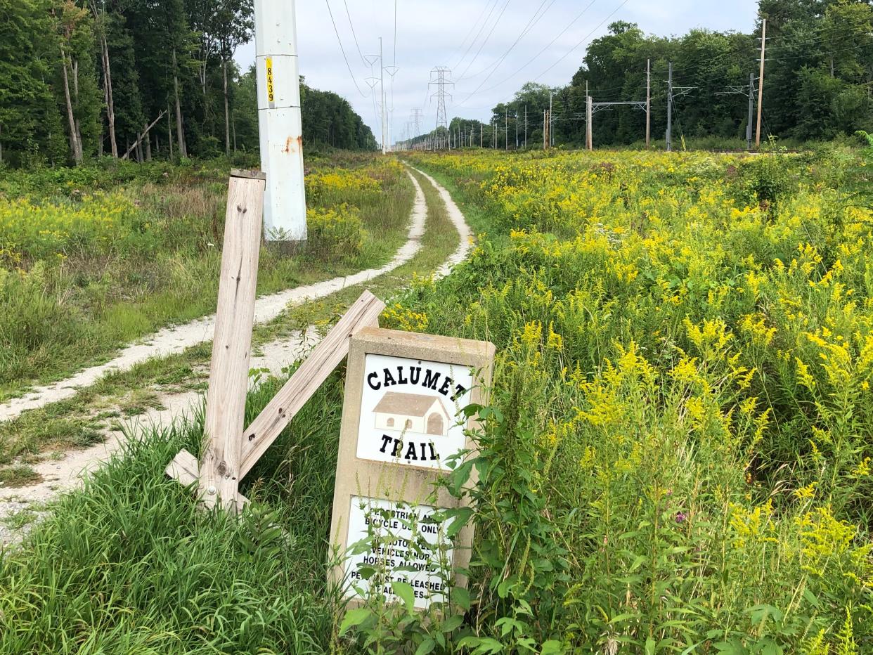 A portion of the Calumet Trail is seen in Beverly Shores as goldenrod grows in September 2022. This often-waterlogged trail section of the trail to Michigan City will be rebuilt and paved this year.