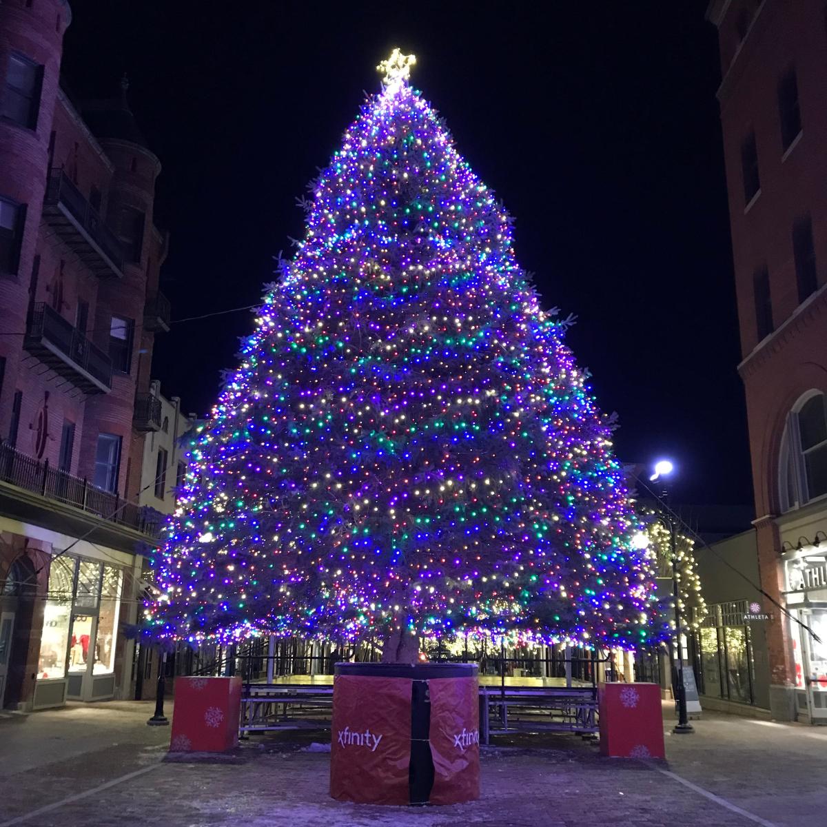 Let There Be Lights 100 000 In Fact As Burlington Plans Tree   3881c2ff553f00302fde81e4d9410801