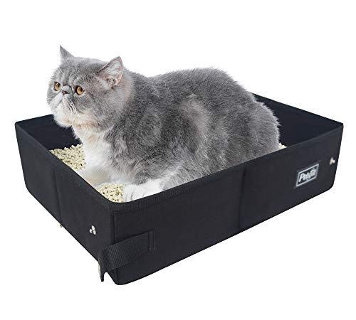 A Foldable Litter Box Work Well for Travel