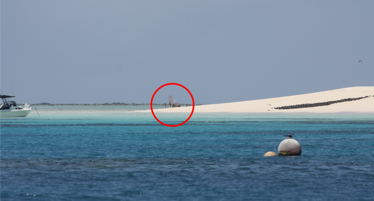 Tourists fined 00 for dog act on Great Barrier Reef national park