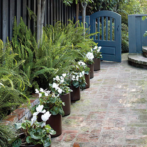 A border in pots