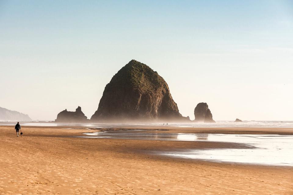 man walking his dog on dog-friendly Cannon Beach in Portland, Oregon