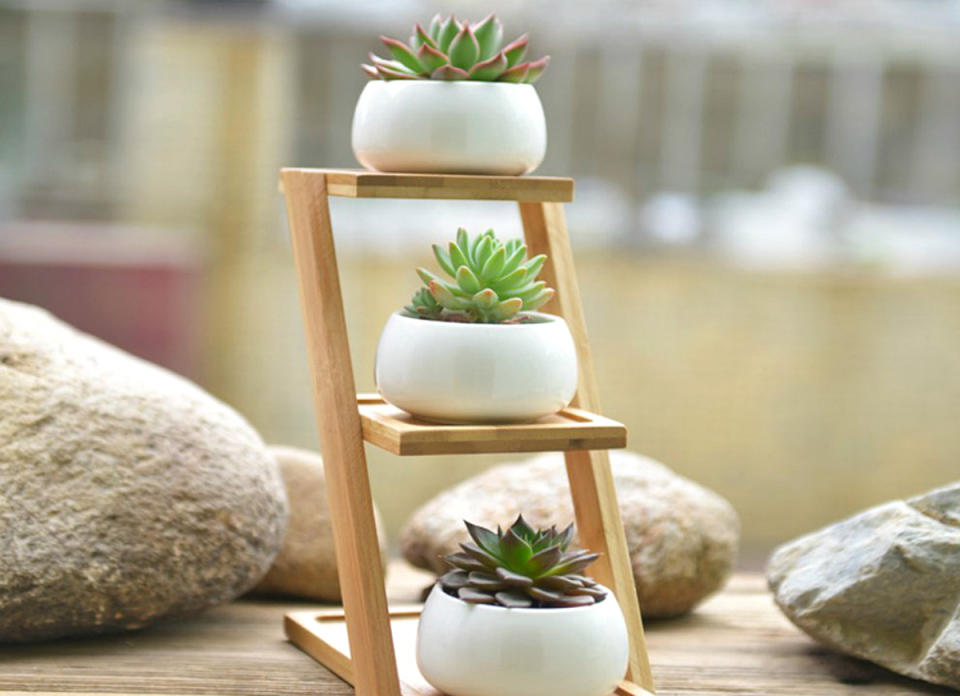 <body> <p>Fit triple the succulents—and triple the zen—in the space it takes to grow just one with this uniquely stacked approach. Its <a rel="nofollow noopener" href=" http://amzn.to/2bKfP8W" target="_blank" data-ylk="slk:8-inch-tall bamboo stand;elm:context_link;itc:0;sec:content-canvas" class="link ">8-inch-tall bamboo stand</a> sits three plants potted on a diag. And, if you're daring enough to garden in the bathroom window, the collection of white ceramic pods can put you one step closer to the spa aesthetic homeowners strive to achieve there. <em>Available on <a rel="nofollow noopener" href=" http://amzn.to/2bKfP8W" target="_blank" data-ylk="slk:Amazon;elm:context_link;itc:0;sec:content-canvas" class="link ">Amazon</a>; $29.</em> </p> <p><strong>Related: <a rel="nofollow noopener" href=" http://www.bobvila.com/slideshow/14-of-the-best-plants-for-your-drought-tolerant-garden-50371?#.V8EELJMrKRs?bv=yahoo" target="_blank" data-ylk="slk:14 of the Best Plants for Your Drought-Tolerant Garden;elm:context_link;itc:0;sec:content-canvas" class="link ">14 of the Best Plants for Your Drought-Tolerant Garden</a> </strong> </p> </body>