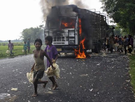 Boys run carrying chickens after a truck transporting the poultry was set on fire during a protest at Golaghat district in Assam August 20, 2014. REUTERS/Stringer