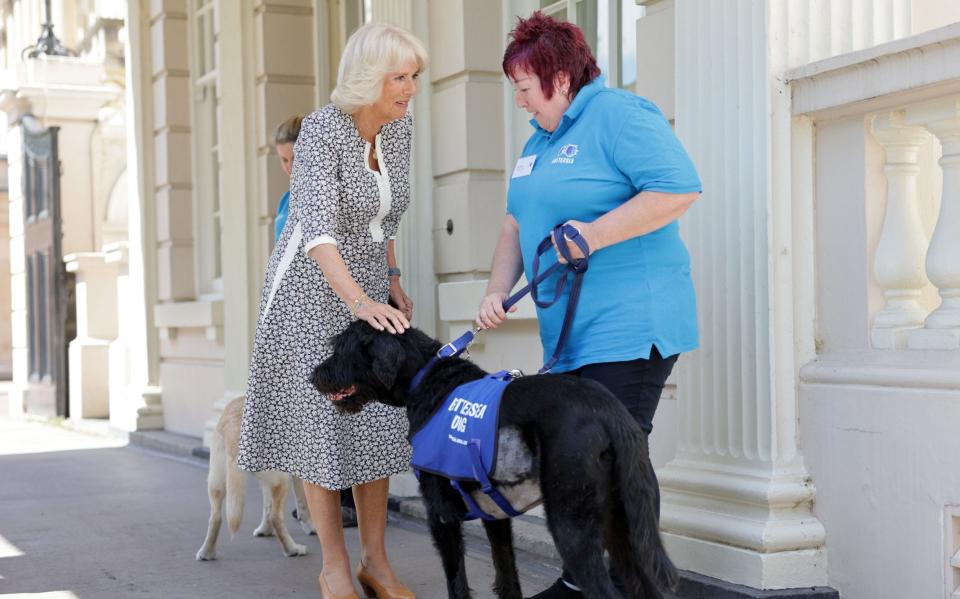 The Duchess of Cornwall speaks to volunteers as she hosts a reception at Clarence House - Chris Jackson/PA