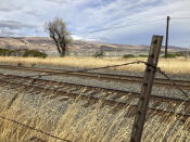 This Tuesday, Oct. 5, 2021, photo, shows the land beyond the fending where Google wants to build more data centers at the site of a former aluminum smelter in The Dalles, Oregon. The Dalles City Council member Long-Curtiss wants to know more details about Google's proposal to build more data centers in the town before the city council votes on the matter. As demand for cloud computing grows, the world's biggest tech companies are building more data centers, including in arid regions even though they use vast amounts of water per day. Some residents of The Dalles, Oregon, are objecting to a proposal by Google to build more data centers there, fearing that, amid rising temperatures and drought, there won't be enough water for everyone. (AP Photo/Andrew Selsky)