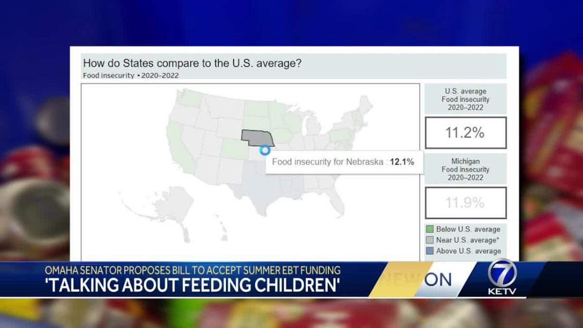 'We are talking about feeding children' State senators prepare for